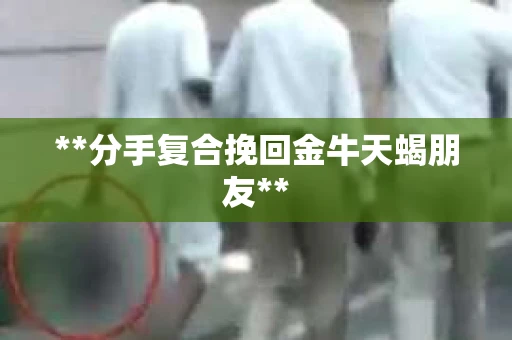 **分手复合挽回金牛天蝎朋友**