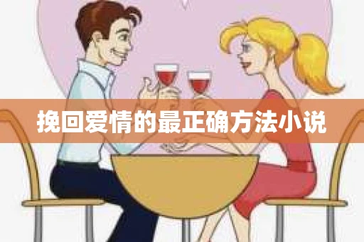 挽回爱情的最正确方法小说