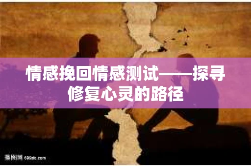 情感挽回情感测试——探寻修复心灵的路径