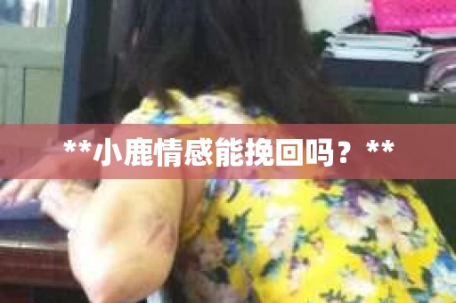 **小鹿情感能挽回吗？**