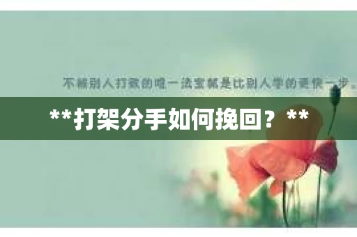 **打架分手如何挽回？**