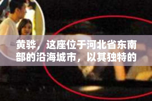 黄骅，这座位于河北省东南部的沿海城市，以其独特的地理位置和丰富的历史文化而闻名。然而，在这座城市中，还有一群人，他们以另一种方式默默守护着社会的公平与正义——私家侦探。今天，我们就来聊聊黄骅的私家侦探，看看他们是如何在这个城市中发挥作用的。