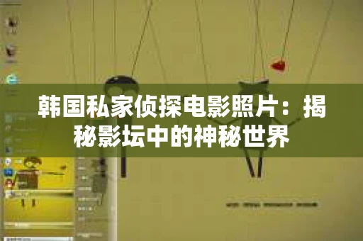 韩国私家侦探电影照片：揭秘影坛中的神秘世界