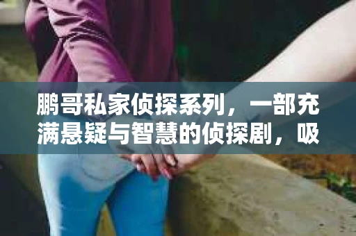 鹏哥私家侦探系列，一部充满悬疑与智慧的侦探剧，吸引了无数观众的眼球。今天，就让我带你走进这个充满神秘色彩的侦探世界，一起在线观看鹏哥私家侦探系列，感受那扣人心弦的故事情节。