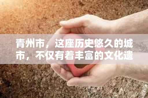 青州市，这座历史悠久的城市，不仅有着丰富的文化遗产，也有着现代生活的便捷。那么，问题来了——青州市有私家侦探公司吗？这个问题，对于需要侦探服务的人来说，无疑至关重要。接下来，我就来为大家揭开这个谜底。