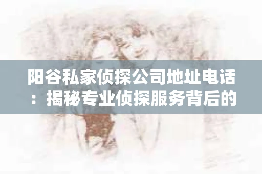 阳谷私家侦探公司地址电话：揭秘专业侦探服务背后的故事