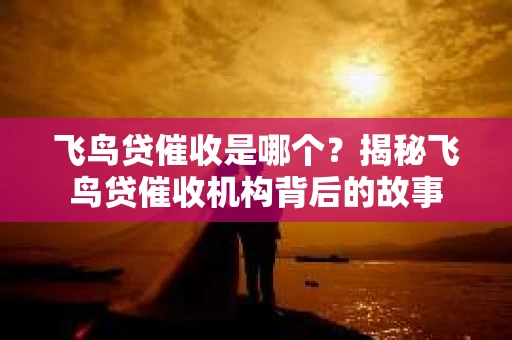 飞鸟贷催收是哪个？揭秘飞鸟贷催收机构背后的故事