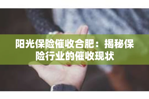 阳光保险催收合肥：揭秘保险行业的催收现状