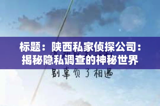 标题：陕西私家侦探公司：揭秘隐私调查的神秘世界