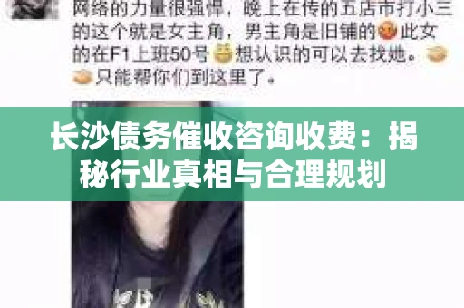 长沙债务催收咨询收费：揭秘行业真相与合理规划