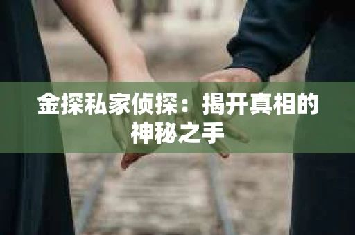 金探私家侦探：揭开真相的神秘之手