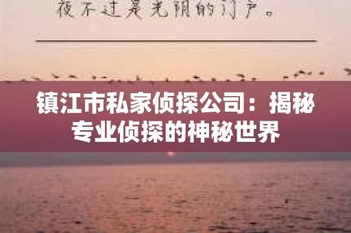 镇江市私家侦探公司：揭秘专业侦探的神秘世界