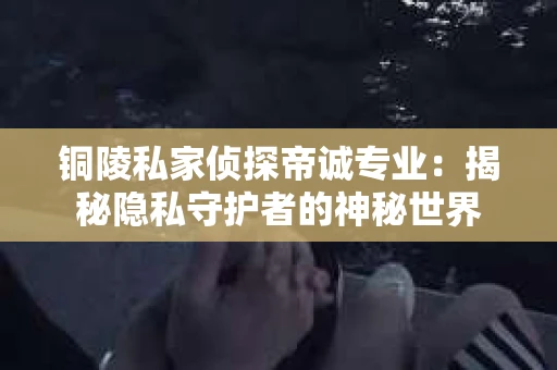 铜陵私家侦探帝诚专业：揭秘隐私守护者的神秘世界
