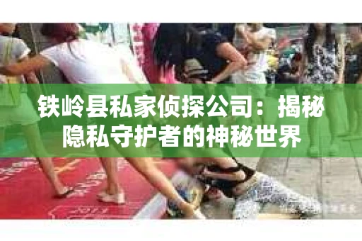 铁岭县私家侦探公司：揭秘隐私守护者的神秘世界