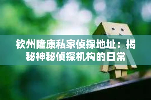 钦州隆康私家侦探地址：揭秘神秘侦探机构的日常