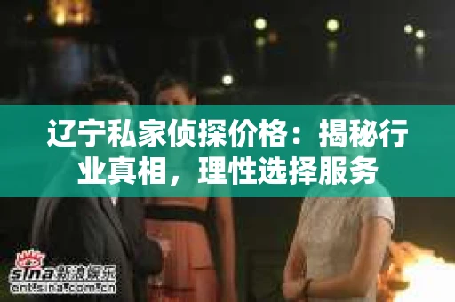辽宁私家侦探价格：揭秘行业真相，理性选择服务