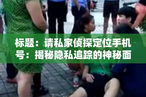 标题：请私家侦探定位手机号：揭秘隐私追踪的神秘面纱