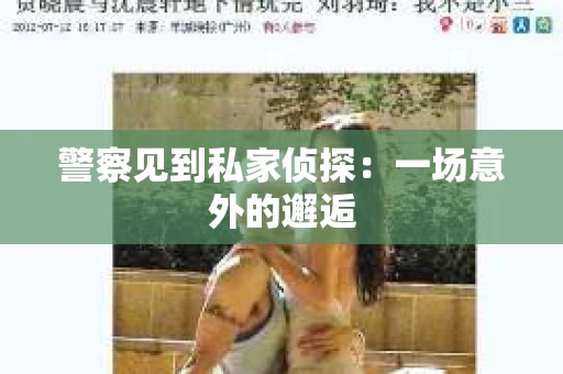 警察见到私家侦探：一场意外的邂逅