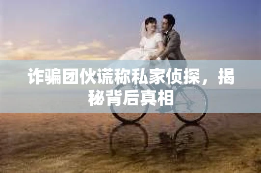 诈骗团伙谎称私家侦探，揭秘背后真相