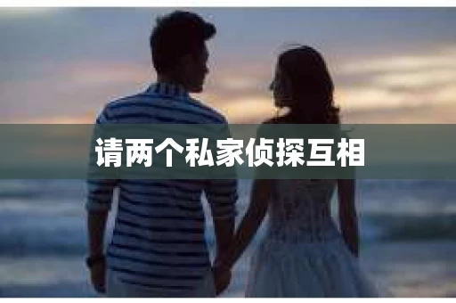 请两个私家侦探互相