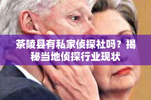茶陵县有私家侦探社吗？揭秘当地侦探行业现状