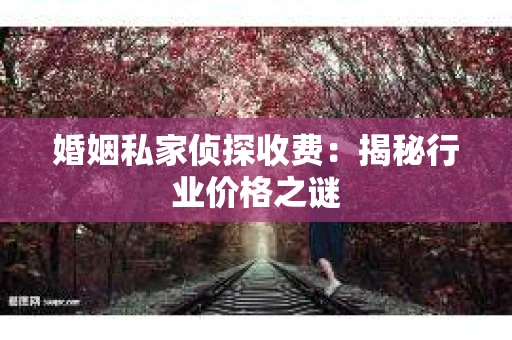 婚姻私家侦探收费：揭秘行业价格之谜