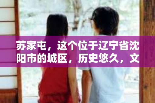 苏家屯，这个位于辽宁省沈阳市的城区，历史悠久，文化底蕴深厚。近年来，随着社会的发展，人们对于私家侦探的需求也逐渐增加。那么，苏家屯有私家侦探吗？今天，我们就来聊聊这个话题。