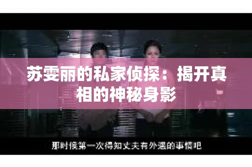 苏雯丽的私家侦探：揭开真相的神秘身影