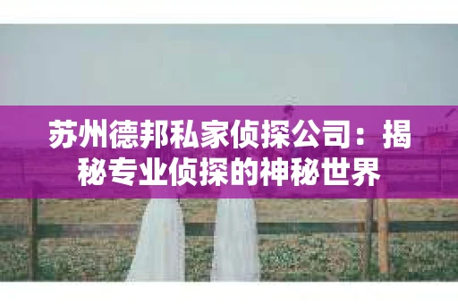 苏州德邦私家侦探公司：揭秘专业侦探的神秘世界