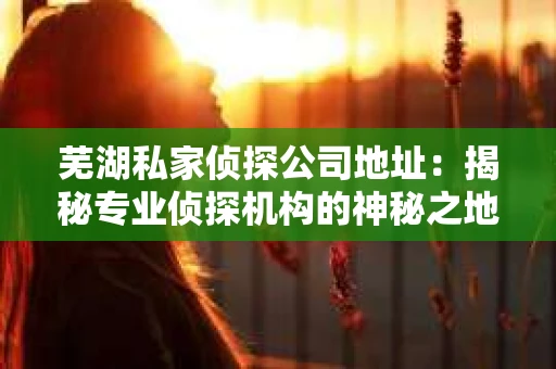 芜湖私家侦探公司地址：揭秘专业侦探机构的神秘之地