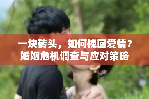一块砖头，如何挽回爱情？婚姻危机调查与应对策略