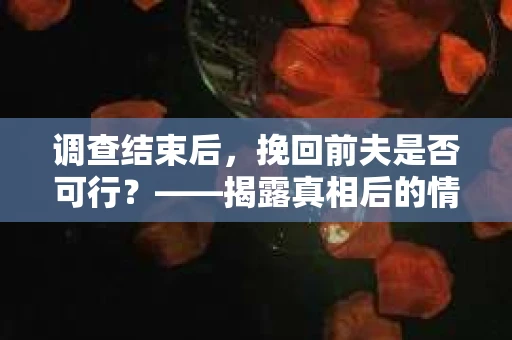 调查结束后，挽回前夫是否可行？——揭露真相后的情感疗愈与人生决策